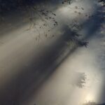 Sunlight filtering through forest creating a mystical ambiance with mist and shadows.