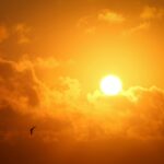 A serene sunset with a vibrant sky and a lone bird flying across. Perfect for nature lovers.
